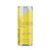 RED BULL SUMMER ED 2026 25 CL
