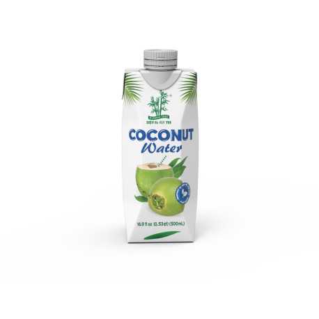 Eau de coco 500ml bamboo tre